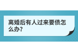 临猗为什么选择专业追讨公司来处理您的债务纠纷？